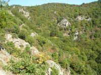 via-ferrata-vogelbergsteig-10