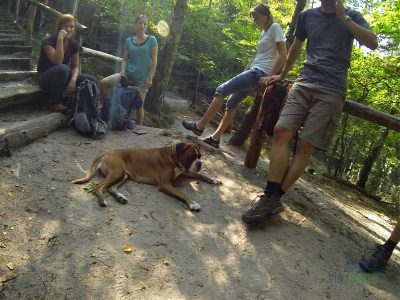 Proto jsme dělali pravidelné aklimatizační zastávky :-)