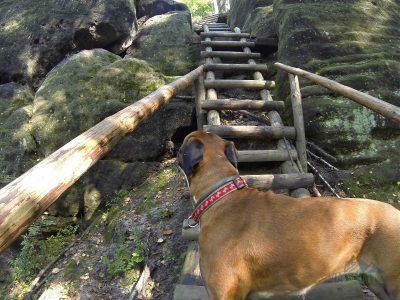 První schody začínají jen kousek od startu ocelových lan.