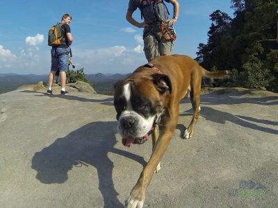 No dobře, bylo mi vedro!