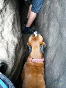 Ve skalním komíně byl krásný chládek.