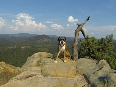 A jedna fotka do rodinného alba.