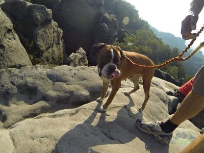 Závěrečná rovinka před vrcholovým výšvihem.