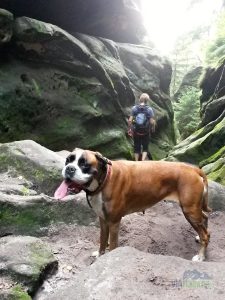 Sestup vedl hlubokou roklí.