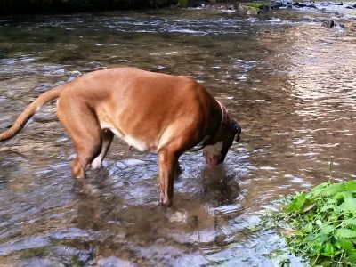 No a závěrečná cachtačka a pitííííí.