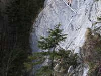 Via ferrata Mein Land-Dein Land-5