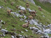 via-ferrata-G-´hackte-13