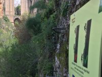 via-ferrata-ronda6
