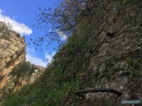 via-ferrata-ronda8