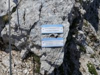 Via ferrata Nordwand - Krippenstein4