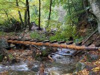 HZS Via ferrata Martinske hole
