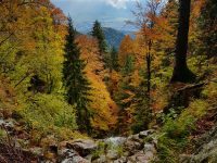 HZS Via ferrata Martinske hole