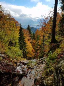 HZS Via ferrata Martinske hole
