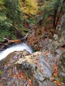 HZS Via ferrata Martinske hole