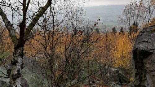 Kurz přežití – nabídka, která se neodmítá