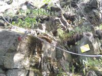 Ferraty Vrabinec - Ustrašený zajíček