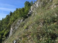 Via ferrata Ganghofersteig poční pohled