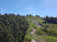 Via ferrata Gerlossteinwand