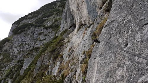 Donnerkogel Intersport