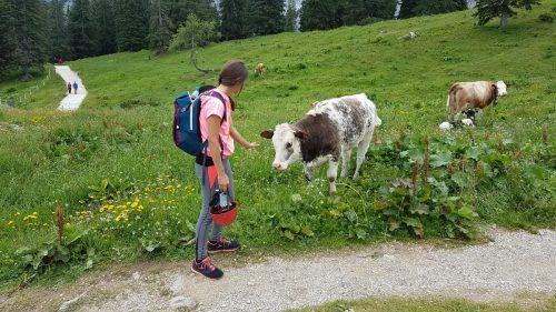 Donnerkogel Intersport - neboj se mě
