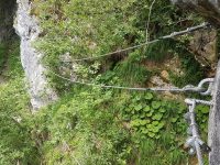Riederklamm Klettersteig