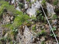 Weiße Wand Klettersteig